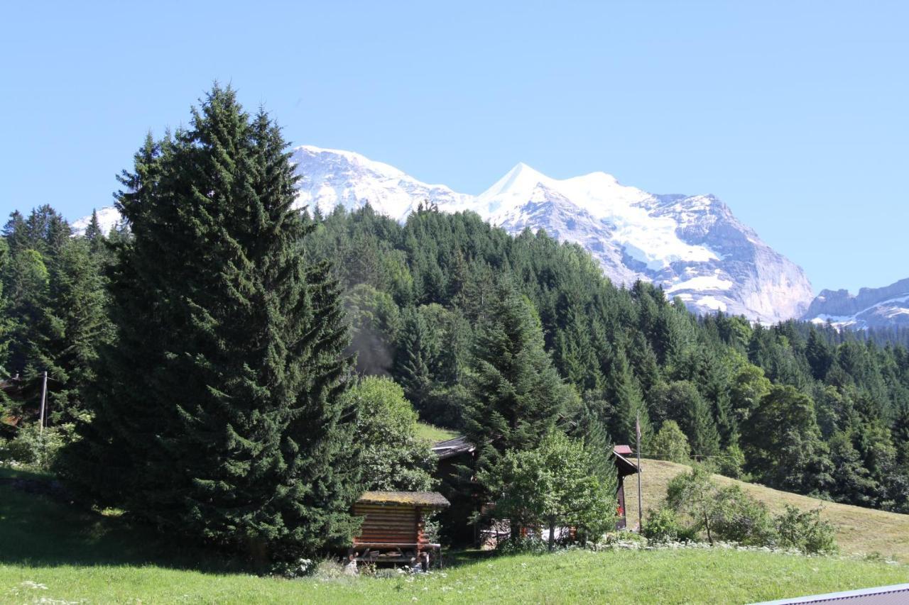 Apartmán Staubbachbaenkli Wengen Exteriér fotografie