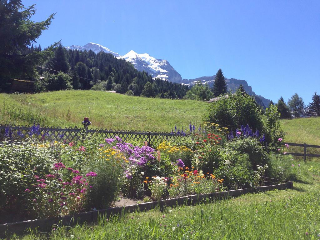 Apartmán Staubbachbaenkli Wengen Exteriér fotografie