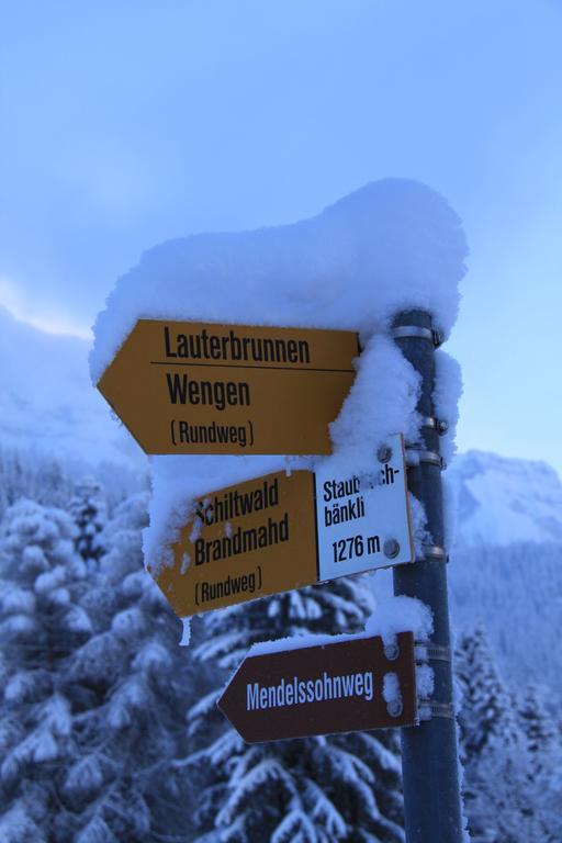 Apartmán Staubbachbaenkli Wengen Exteriér fotografie