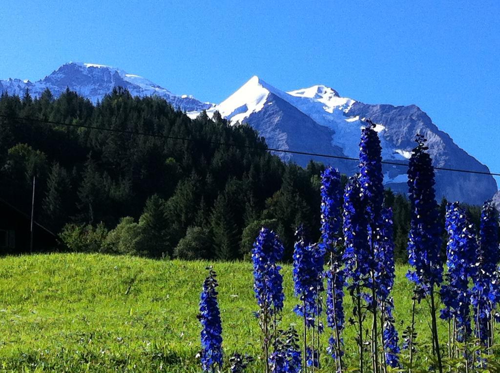 Apartmán Staubbachbaenkli Wengen Exteriér fotografie